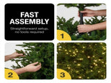 National Tree Company 9ft 2.7m Bellewood Fir Pre-Lit Artificial Christmas Tree 1100 Multi-Funct 112_NATBF9