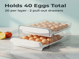 Holder for Fridge, 2-Tier Stackable 40s Organizer Drawer for Refrigerator, Space-Saving V1258-DP02-WO-957