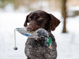 2X Duck Dummy Bumper Mimics Dead Duck Bumper Toy for Training Puppies or Adult Hunting Dogs V1366-AZ2-W-21738