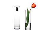 bulk 12 Glass Cylinder Vase Flower 20cm V637-GVA30295