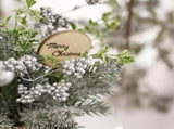 Mini Christmas Tree Decorations 35cm Flocking Pine Cone Simulation Artificial Christmas Tree Home V1294-YM0703-230621SM03-2