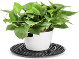 15 PCS Plant Level Pot Elevator, 12 inch Plastic Potted Stands, Large Patio Planter Riser Holder, V1259-DP01-A-882