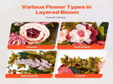 Artificial Decorative Wreath 48.26 cm Pink Peonies Hydrangeas Year Round V952-ZSHHMDHFHL19ICBRDV0