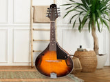 Karrera Traditional Mandolin Guitar - Sunburst MDL-TDT