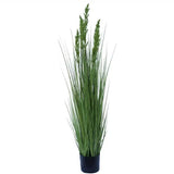 Flowering Native Grass 120cm V637-DP1018921