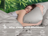 4 Piece Ultra Soft Bamboo Breathable Sheet Set -Hotel 2000TC Breathable Bed Sheets Set with 37 V1317-BAMBOO-AUQ-4JT-SILVER-GREY