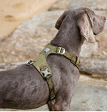 True Love Lightweight Dog Harness - Green, L ZAP-TLH6281-17
