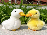 Yellow Chick Stuffed Chicken White 17cm, Plush Toy, Duck Soft Toy Chick Stuffed V1370-AZ4-07031