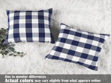 Light Blue Farmhouse Buffalo Plaid Pillow Covers 18x18 Set of 2 Patio Outdoor Decor Neutral V1189-WXFWAL-20260319-01555