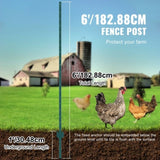 6 Feet Fence Post 6 Pack T-Post Heavy Duty Metal Fence Posts Green V952-WLLZJSK6JZ6Y7M4FOV0