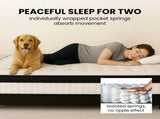 KINGSTON SLUMBER RelaxMax 31cm Double Mattress, Medium, Euro Top, 5-Zone, Pocket Spring, Knitted V219-BEDMATKSST3A