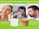 8pcs Humidifier Filters for Canopy Bedside V1369-AZ3-W-08193