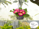 Set of 2 Modern Iron Plant Hangers, Stylish Outdoor Garden Hanging Baskets for Plants, and V1369-AZ3-W-12996