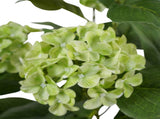 Potted Artificial Green Hydrangea 50cm V637-05075HYD