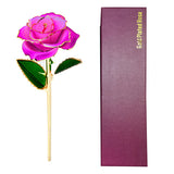 24K Gold Plated Rose, Dried Flower Kit with Gift Box and Display Stand, Rose Red V1237-ZY-203-0106