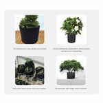 6 Pck 10 Gallon Fabric Flower Pots 38L Garden Planter Bags Black Felt Root Pouch V238-SUPDZ-39610063814736