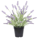 Artificial Lavender Plant 40cm V637-DP1158159