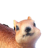 Resin Animal Squirrels Model Cute Squirrel Hanging Statues for Garden Outdoor Decoration V1294-YM0901-3111240165911