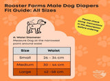 Rooster Farms Male Dog Diapers Large 3Pk - Washable Reusable Nappies Hook/Loop V238-SUPDZ-41365725446224