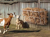 VEVOR Livestock Hay Feeder 18.5 Gallons Wall Mounted Goat Hay Rack for Horses V952-SCWSQBGSWGWS1EGM7V0