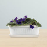Indoor Plant Water Tray - 1-Piece Rectangular Plastic Drip Tray and Decorative Saucer for Flower V1192-AZ-W-22405