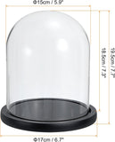 Glass Dome with Black Wooden Base - Clock Shaped Display Case - Home Decor - Desk Ornament V1258-DP02-BOL-433