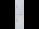 2-Door Vertical Locker for Office Gym Shed School Home Storage V63-832441