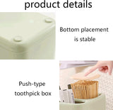 2 Pack Desk Organizer with Compartments for Pens and Toothpicks - Office Supply Storage Solution V1258-DP02-BOL-100