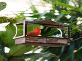 Stainless Steel Window Bird Feeder with Suction Cups, Transparent Weather-Resistant Feeding Station V1189-LC-HW-00026