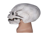 Scary Skull Mask with Movable Jaw Flexible Latex Halloween Costume Party Props Cosplay V1294-YM0714-3117210187711