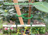 Plant Support Clips for Climbing Plants, Reable Garden Plant Support Plastic Clips for Tomatoes, V1258-DP02-F-394