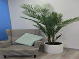 Premium Artificial Areca Palm Tree 210cm UV Resistant V637-DP5562312