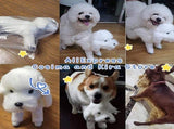 Pet Behavioral Support Doll Realistic Canine Companion Toy for Stress Relief, Made of TPE Silicone V1107-CS-GGAFWJ13