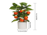 Small Fake Fruit Tree Decor Artificial Potted Tree with White Pot Potted Plant Perfect for Kitchen V1294-YM0523-220324CY13-1