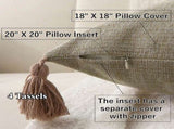 18" x 18" Decorative Throw Pillow with Inserts, Set of 2 Farmhouse Neutral Couch Throw Pillows with V1258-DP02-C-3205
