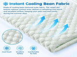 Cooling Pet Sofa Bed for Cats and Dogs, Breathable Ice Silk Bean Fabric with Supportive Edges, V1341-ZY-STKQHWSM-LIGHTGREEN-2XL