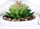 3pcs Simulated Succulent Pot Ceramic Creative Realistic Artificial Succulent Pot for Desktop V1294-YM0901-3115240022411