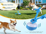 Interactive Smart Pet Puppy Ball with Ropes, Automatic Motion Activated Rolling Ball for Medium V1366-AZ2-W-10720