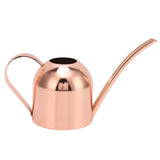 Watering Can for House Bonsai Garden Flower Outdoor Indoor Plants Long Spout Pot Stainless Steel V1294-YM0626-3111220315711