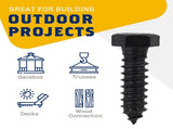 1/2" x 2, 25-Piece Black Bolts, Rustproof 4-Layer Ceramic BLAKOTE, 2X Protection of Galvanized V1258-DP02-F-80