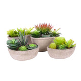 4 pcs Modern Artificialt Arrangement Potted in Gray Concrete Plant Bowl, Assorted Faux Mini V1192-AZ-W-14459