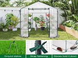 Greenhouse Walk-In Tunnel 3 Tier Planting Shelves 143x143x195cm Strong Stability with PE Cover V985-GREENHOUSE2