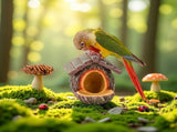 Vintage Treehouse Shape Bird Feeder - Bird House Feeder, Open Design Resin Feeding Birdhouse, V1370-AZ4-15915