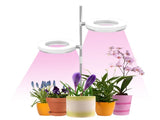 Indoor Small Light Full Spectrum LED Light Desktop Mini Light Height Adjustable V1294-YM0901-H42599-2
