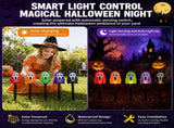 Halloween Solar Ground Stake Lights, 5-Pack Screaming Ghost Face Pathway Lights, IP65 Waterproof V1341-ZY-SFST98VL-2SETS-COLORFULTUBE