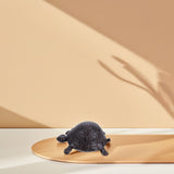 Cast Iron Turtle Key Safe Hidden Compartment Box for Outdoor Garden Entryway V1370-AZ4-08855