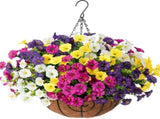 Artificial Petunia Hanging Flower Arrangement Red White Blue Flowers Outdoor - Multi-color - Size 11 V1347-112-04031-MLT-11
