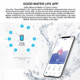 Mineral Maker MORBIDO Alkaline Filter Water Bottle a Mineral Stone Pouch GREEN V274-HA-AM-MINBOT-MT