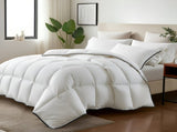 Royal Comfort -Bamboo Quilt Super King - 350GSM ABM-202761