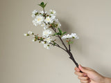 3Pcs Simulated Flower Branches Artificial Blossom Flower Stems for Wedding Home Decoration White V1294-YM0901-241129HL02-1